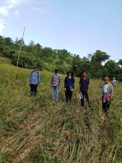 ลงพื้นที่ร่วมกับนักวิชาการส่งเสริมการเกษตร สำนักงานเกษตรอำเภอเวียงสา และคณะกรรมการระดับหมู่บ้าน เพื่อตรวจสอบความเสียหายพื้นที่การเกษตรที่ได้รับผลกระทบจากอุทกภัย ช่วงระหว่างวันที่ 9-10 ตุลาคม 2566 ในพื้นที่ หมู่ที่ 3  หมู่ที่ 9 และ หมู่10
