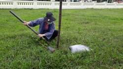 25 พฤษภาคม 2564  กิจกรรมปลูกต้นไม้ ภายใต้ ชื่อ "รวมใจไทย ปลูกต้นไม้ เพื่อแผ่นดิน"(5)