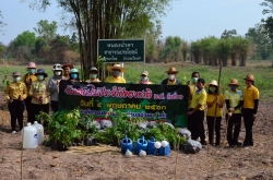 ปลูกต้นไม้เเห่งชาติ 2563