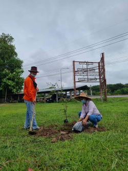25 พฤษภาคม 2564  กิจกรรมปลูกต้นไม้ ภายใต้ ชื่อ "รวมใจไทย ปลูกต้นไม้ เพื่อแผ่นดิน"